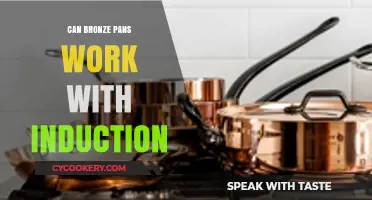 Induction Cooking and Bronze Pans: Are They Compatible?
