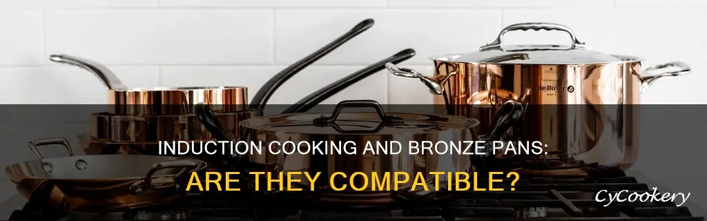 can bronze pans work with induction