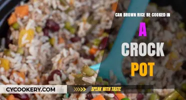 Brown Rice in a Crock Pot: Is It Possible?