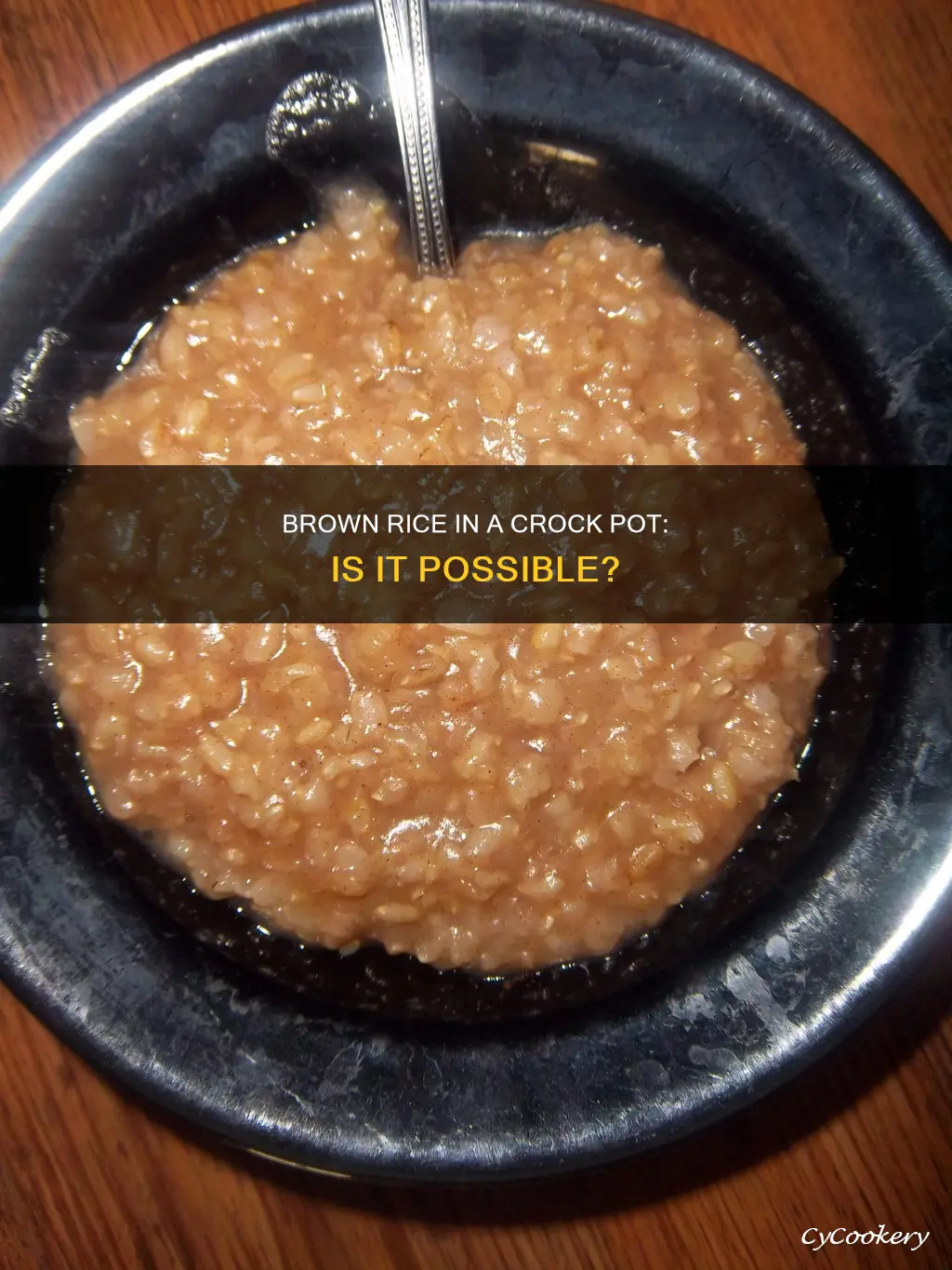 can brown rice be cooked in a crock pot
