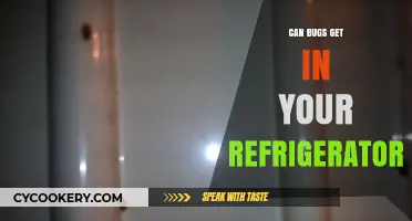 Can Bugs Invade Your Fridge? Prevention Tips and Solutions