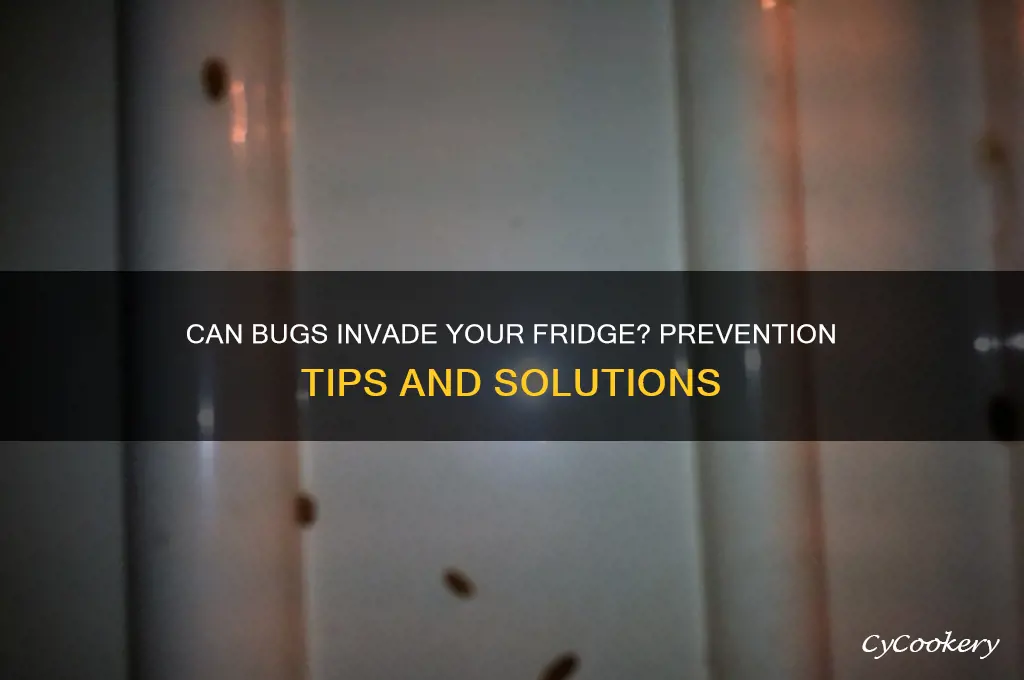 can bugs get in your refrigerator
