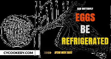 Refrigerating Butterfly Eggs: A Safe Practice or Risky Move?
