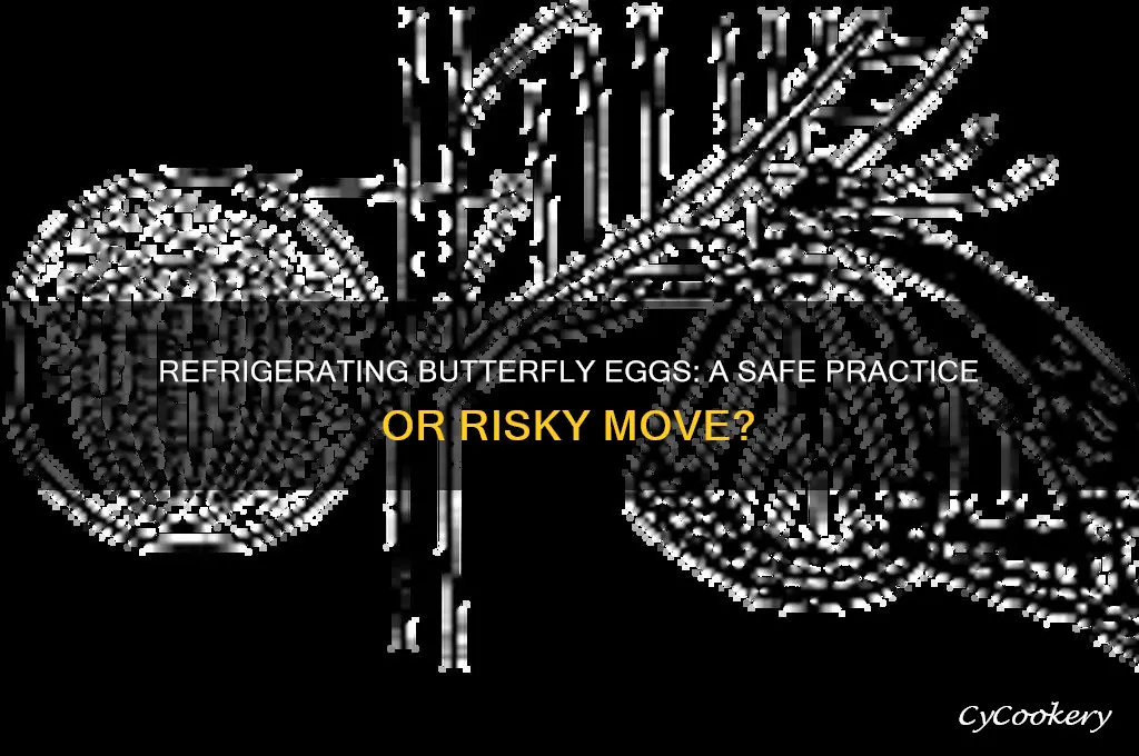 can butterfly eggs be refrigerated