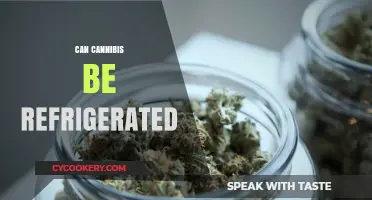 Should You Refrigerate Cannabis? Storage Tips for Freshness and Potency