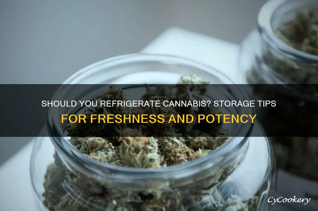 can cannibis be refrigerated