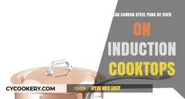 Carbon Steel Pans: Compatible with Induction Cooktops?