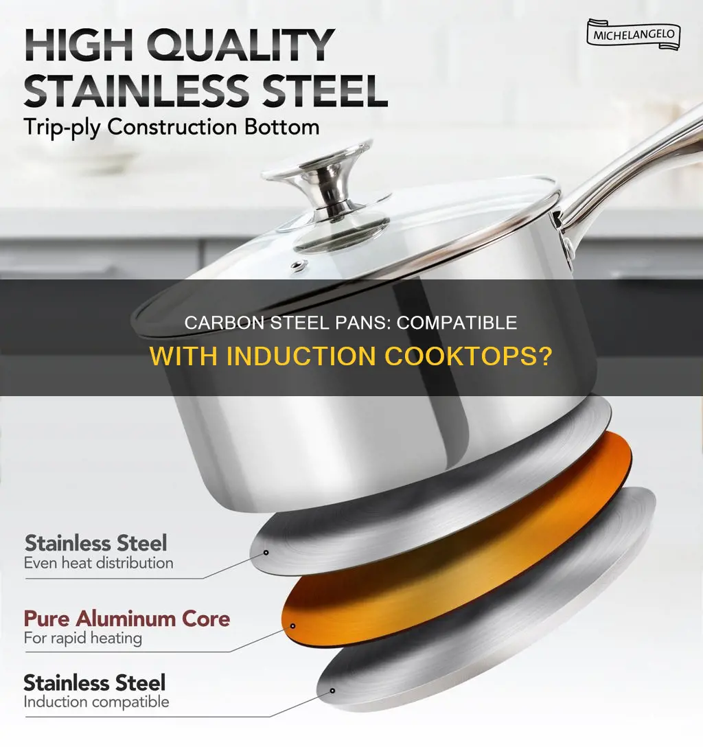 can carbon steel pans be used on induction cooktops