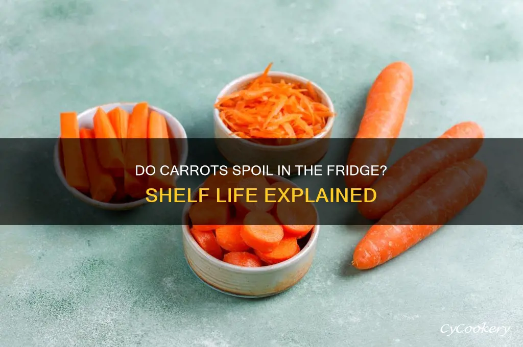 can carrots go bad in the refrigerator