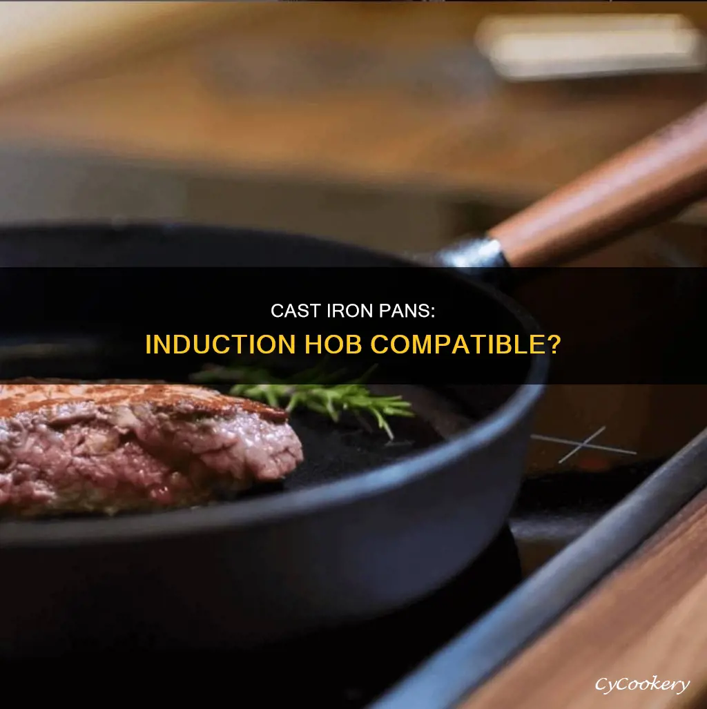 can cast iron pans be used on induction hob