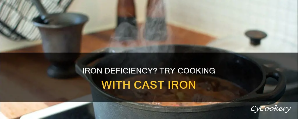 can cast iron pans get healthy iron int my body