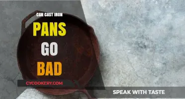 Cast Iron Pans: Do They Have an Expiry Date?