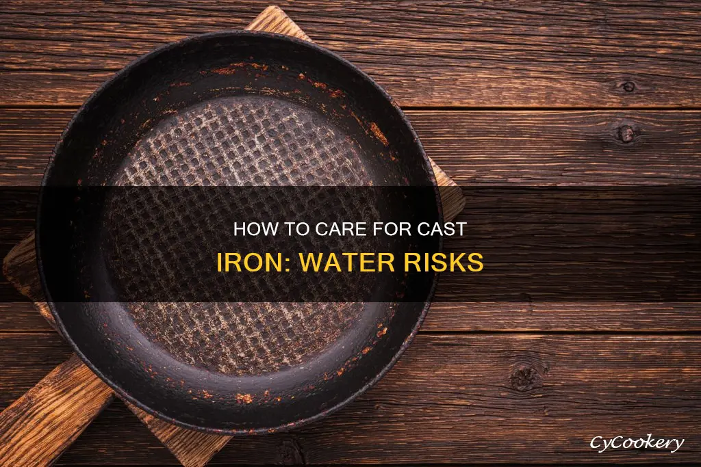 can cast iron pans sit in water