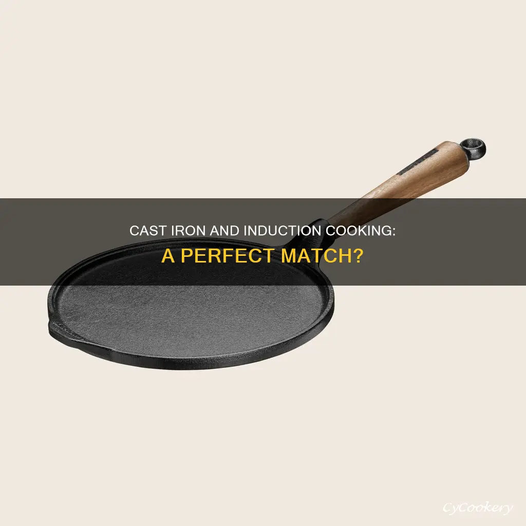 can cast iron pote be used on induction cook tops