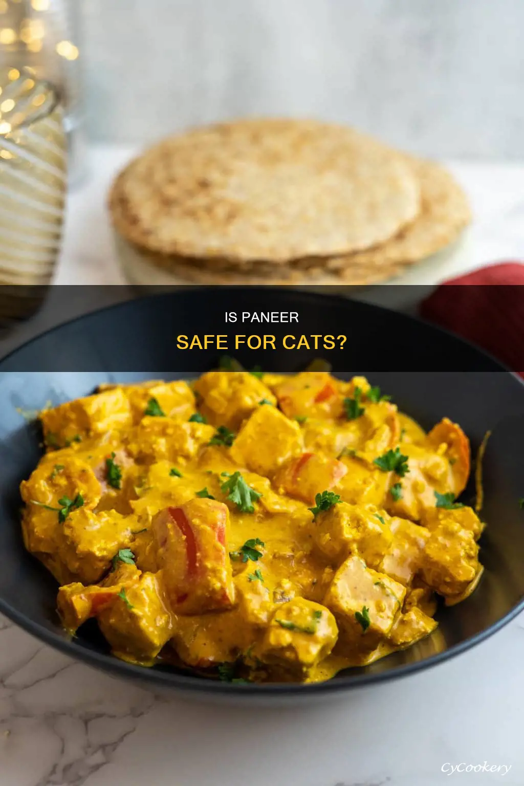 can cat eat paneer