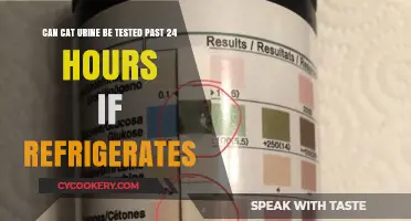 Refrigerated Cat Urine Testing: Can Samples Remain Viable Beyond 24 Hours?