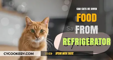 Can Cats Safely Eat Refrigerated Food? A Complete Guide