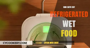 Can Cats Safely Eat Refrigerated Wet Food? Expert Tips Revealed