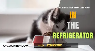 Can Cats Safely Eat Cold Food from the Fridge?
