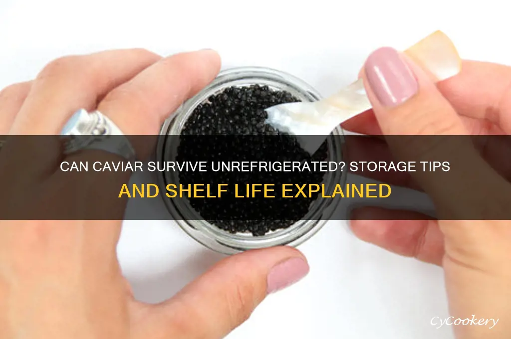 can caviar be kept without refrigeration