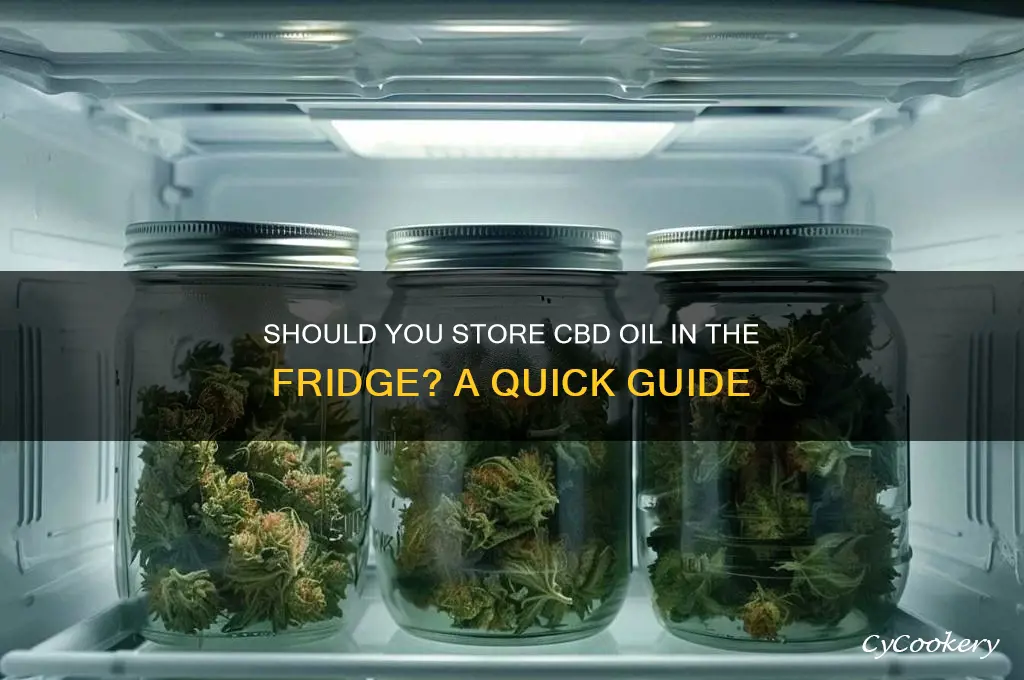 can cbd oil be left in the refrigerator