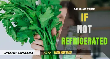 Does Celery Spoil Without Refrigeration? Storage Tips and Shelf Life