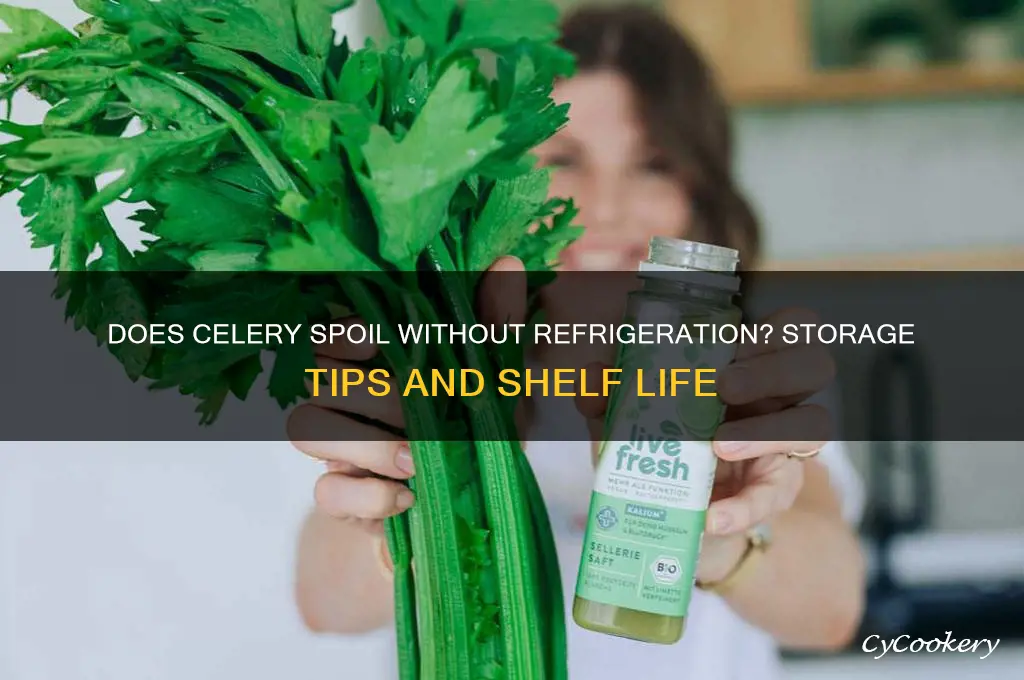 can celery go bad if not refrigerated