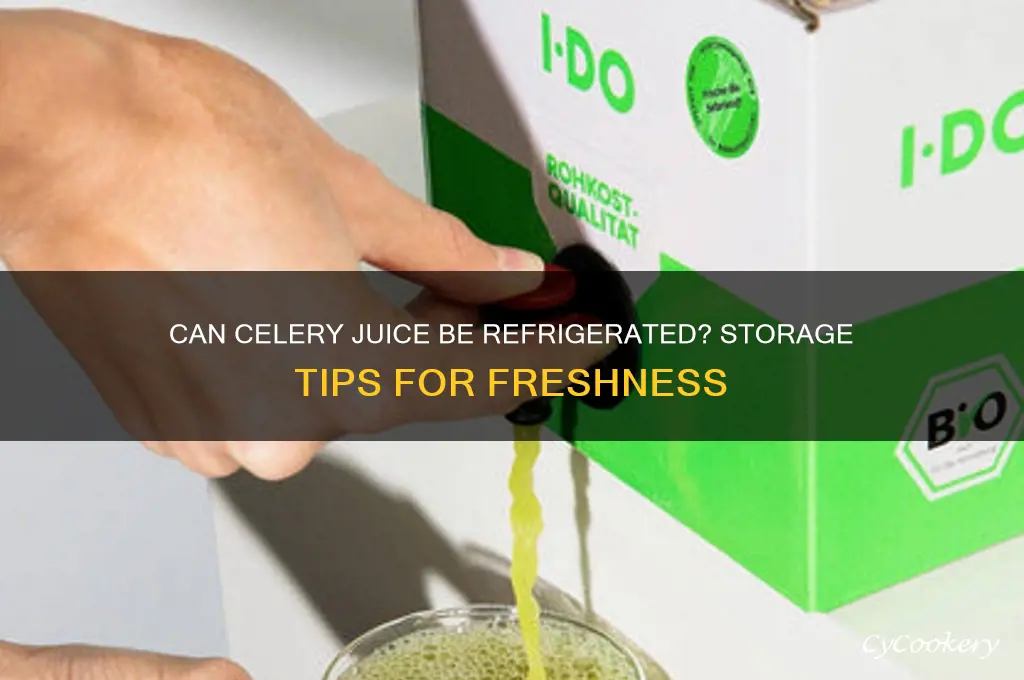 can celery juice be refrigerated