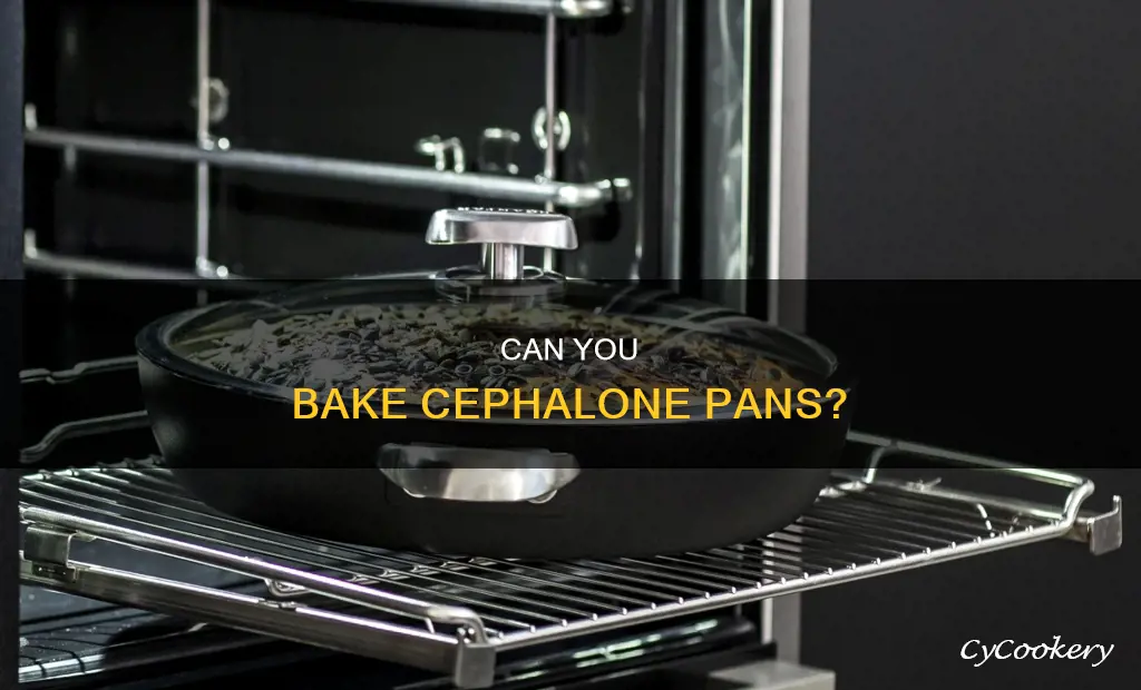 can cephalone pan go in oven