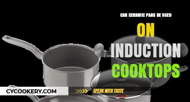 Ceramic Pans: Compatible with Induction Cooktops?