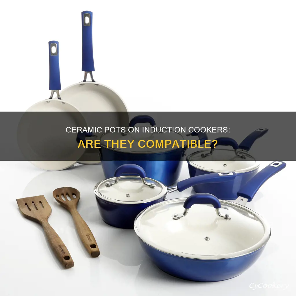 can ceramic pots be used on induction cooker