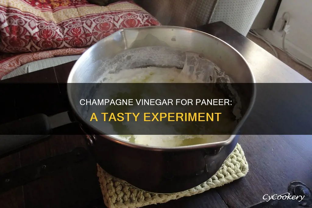 can champagne vinegar be use to make paneer