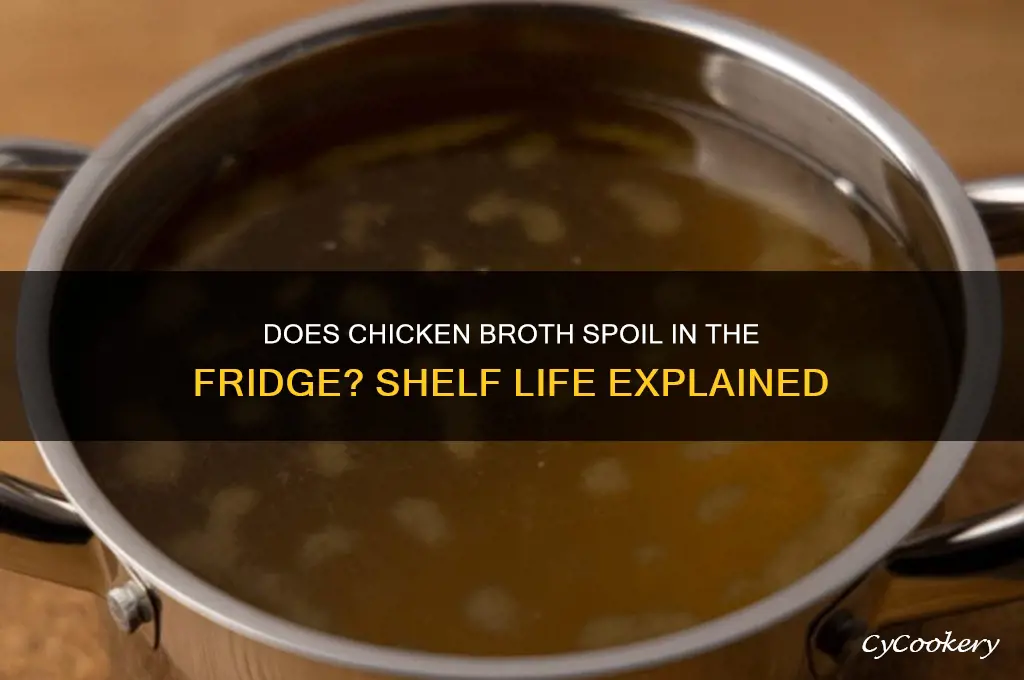 can chicken broth go bad in the refrigerator
