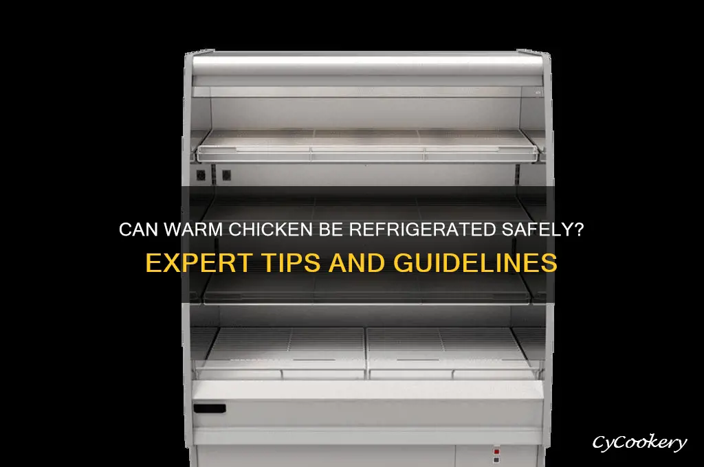 can chicken go in the refrigerator warm