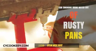 Rusty Pans: Safe Water Source for Chickens?