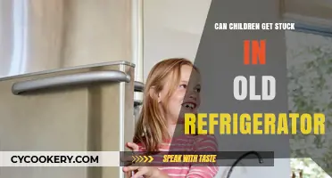 Preventing Dangers: Can Children Get Stuck in Old Refrigerators?