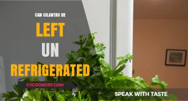 Can Cilantro Be Left Unrefrigerated? Storage Tips for Fresh Herbs