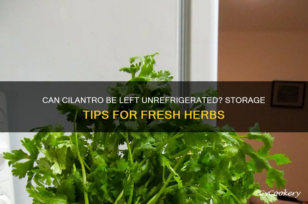 can cilantro be left un refrigerated