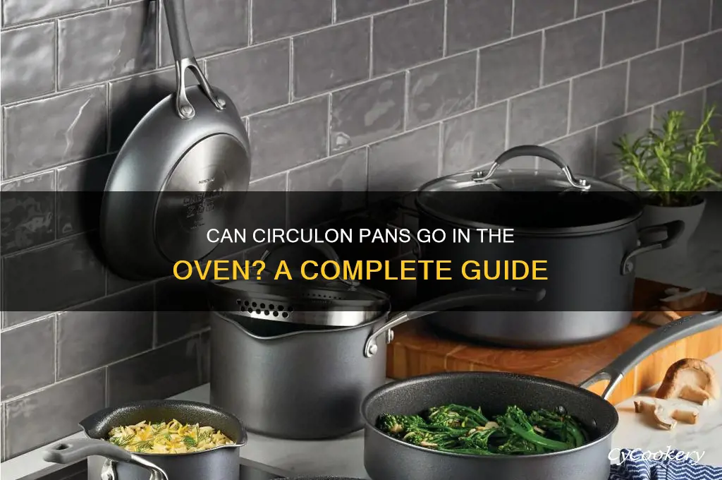 can circulon pans be used in the oven