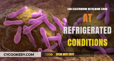 Can Clostridium Botulinum Survive and Grow in Refrigerated Conditions?