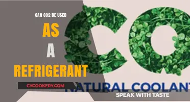 Exploring CO2 as a Sustainable Refrigerant Alternative: Benefits and Challenges