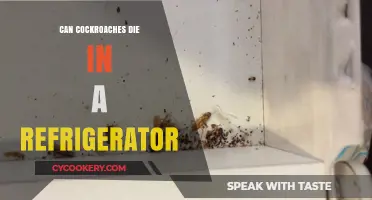 Can Cockroaches Survive in Your Fridge? The Chilling Truth