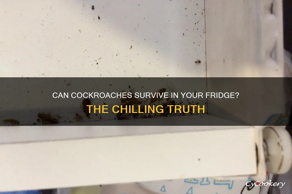 can cockroaches die in a refrigerator