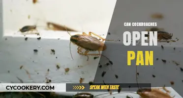 Cockroaches: Your Pan's Unlikely Openers