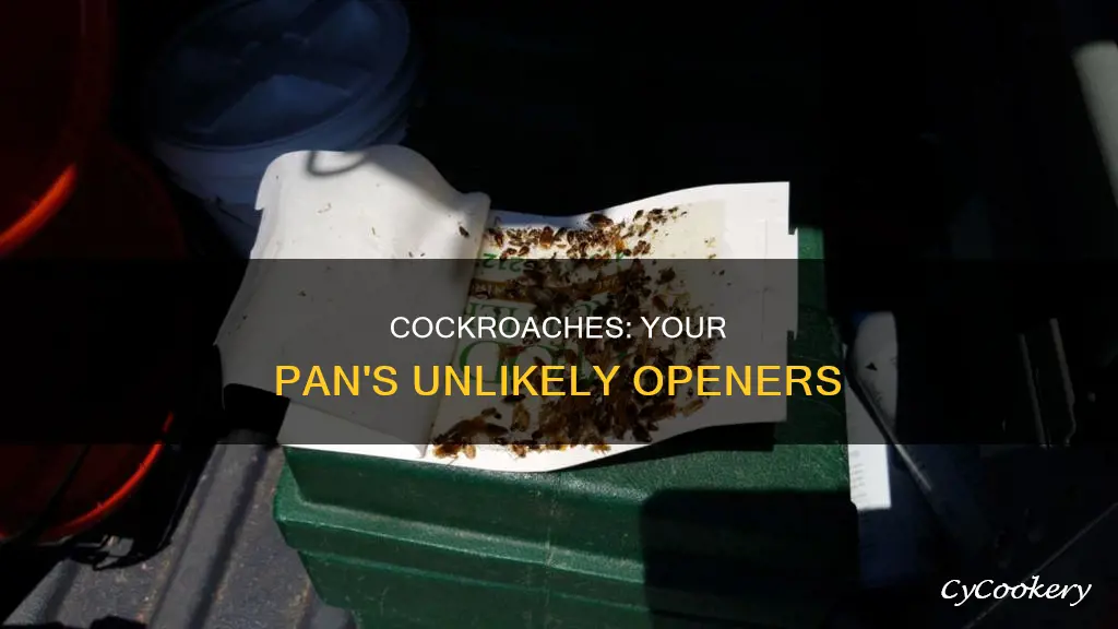 can cockroaches open pan