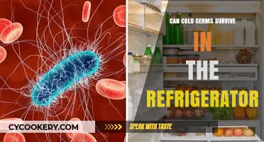 Do Cold Germs Survive in Your Refrigerator? The Chilling Truth