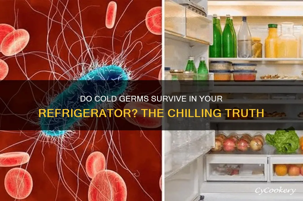 can cold germs survive in the refrigerator