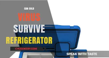 Can Cold Viruses Survive in Your Refrigerator? Facts and Tips