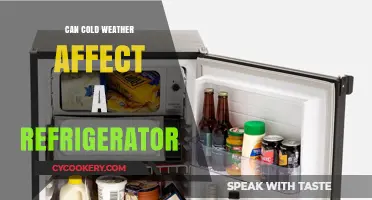 Does Cold Weather Impact Your Refrigerator's Performance? Find Out Here