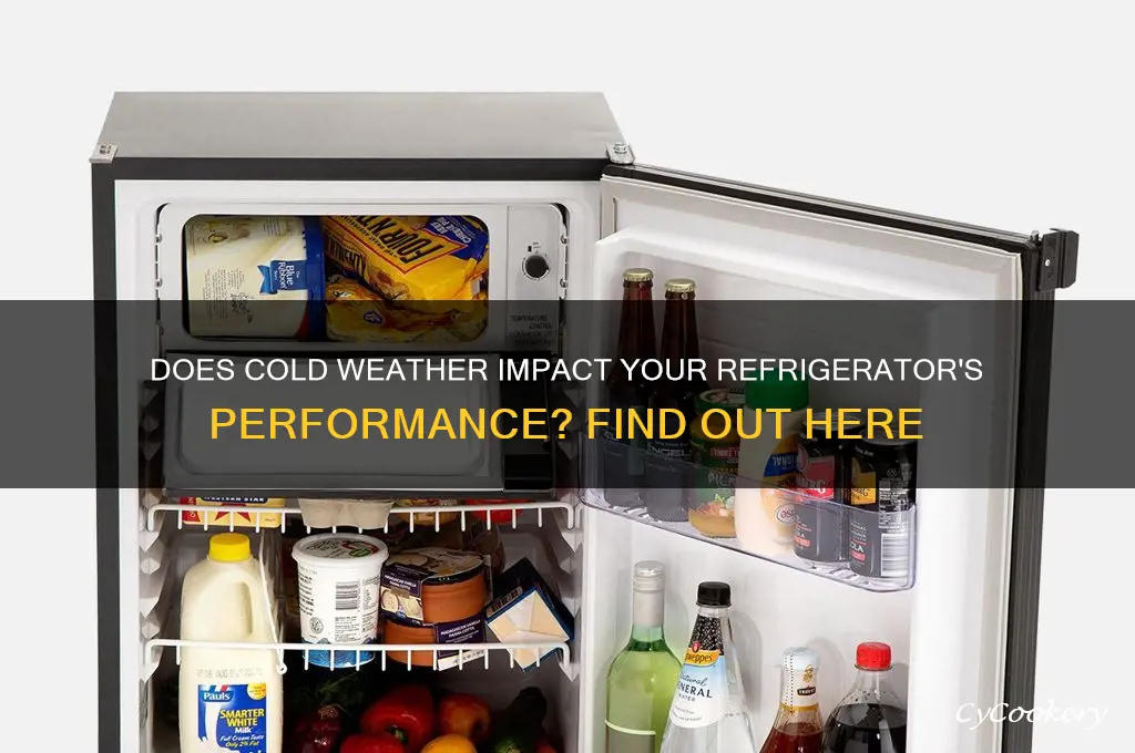 can cold weather affect a refrigerator